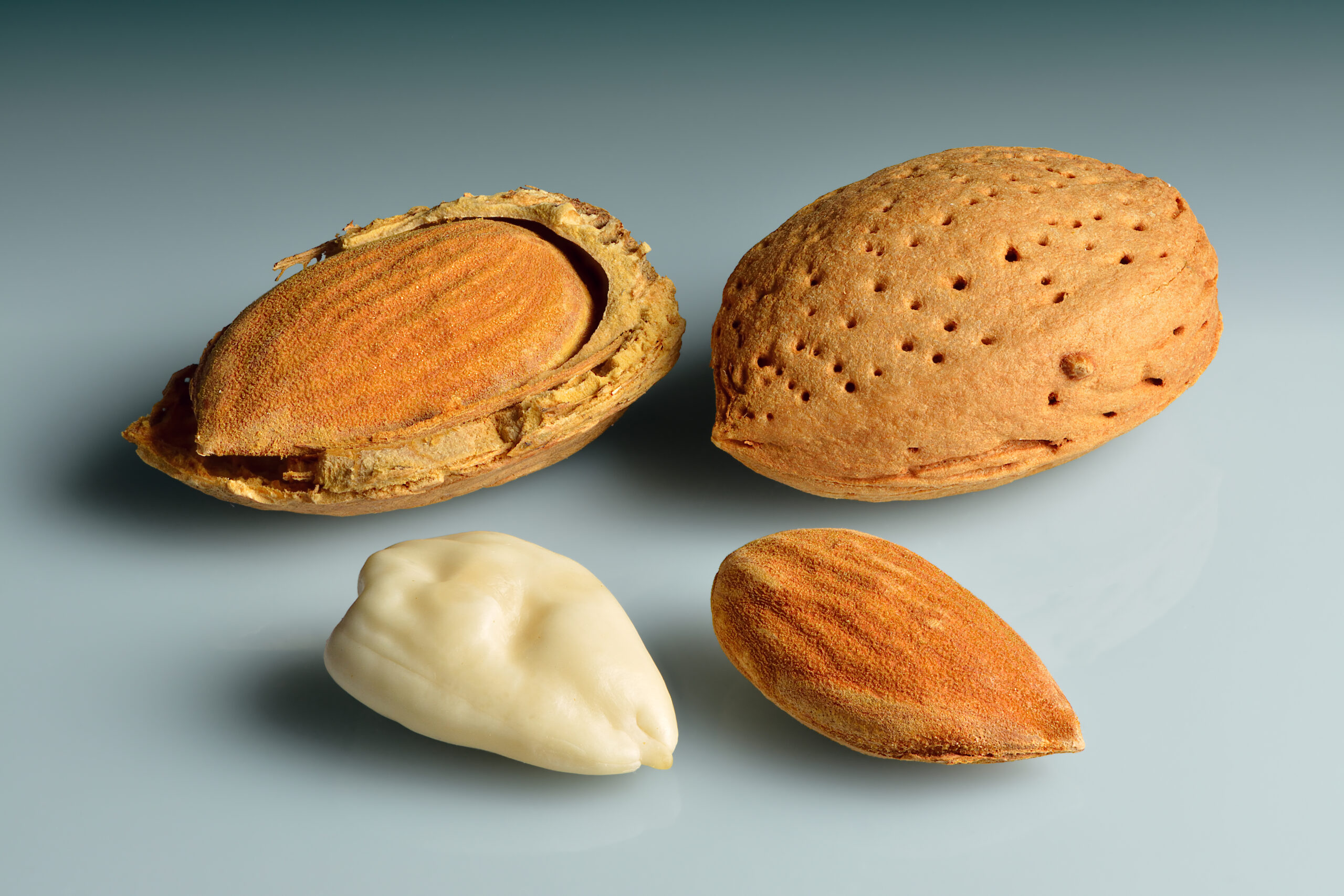 Almond Nut - Image 4